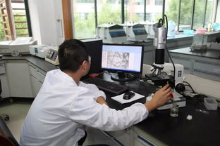 義烏開展襯衫生產企業質量分析測試專項活動，技術服務助力產業升級