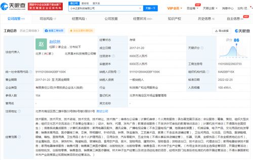 盧偉冰卸任小米之家科技公司高管職務，公司數據處理業務引關注